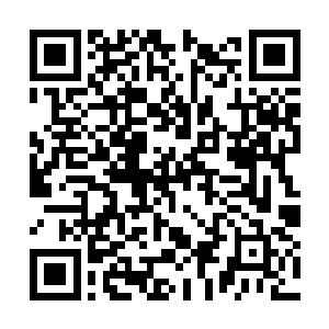 另一边的宁天行已经从陆道然手中抢下了白骨灵赟二维码生成