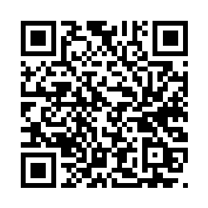 另一边dm这边的人员终于组建完毕了二维码生成