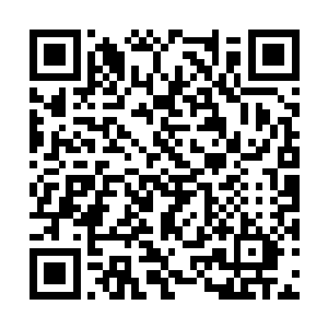 另外一个上了年纪的员外看着这画面不由得痴迷道二维码生成