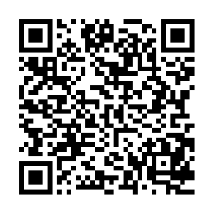 另外一个跟随李思辰在白云市和飞机上面见识过了这些阴邪怪物二维码生成