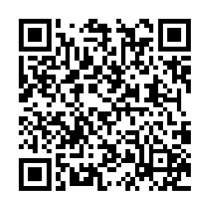 另外一定要提防那些来自各个洞天福地的精锐弟子二维码生成