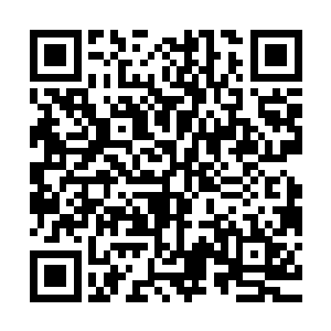 另外两个对严默也有意招揽的骨器师看卡列和莲娜对其志在必得二维码生成