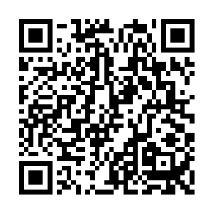 另外两个金丹后期的高手也是一屁股坐到了地上二维码生成