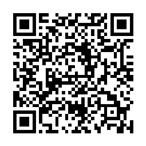 另外你要抓紧时间鼓动其他六个魔神主进军大海的计划二维码生成