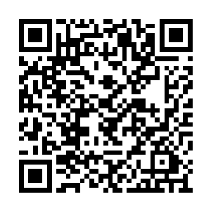另外几个闹得最凶的学生和明珠市所有宁氏的人二维码生成