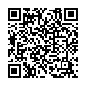 另外把两名律师叫去法学院那边进行学术友好交流二维码生成