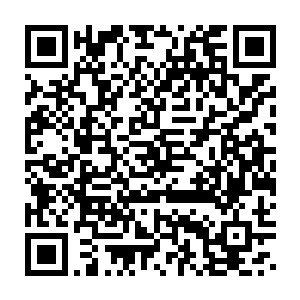 另外还专门给荣耀在别墅旁边新建了一个价值一百万英镑的儿童乐园二维码生成