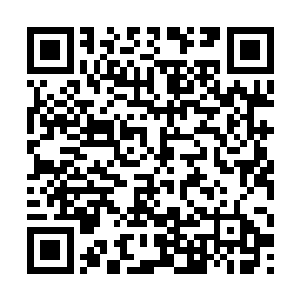 另外那个叫蒋立恺的男孩自始至终都没有开口说过话二维码生成