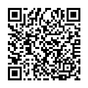 只不过一堆丢她身边的星域宝具她还没看上几眼呢二维码生成