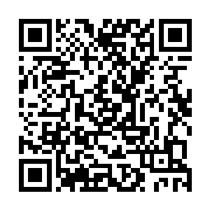 只不过他的层级要比燕山魂低得太多无论是心境上的修为二维码生成