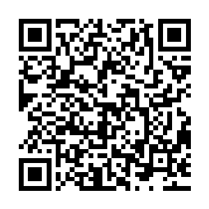 只不过他的异常被大家理解为了受到更换经纪人这一事件的影响二维码生成