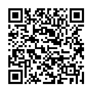 只不过会不断的消耗辅助功法所修炼出来特殊力量二维码生成