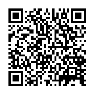 只不过其余想要知道床上究竟是什么人的猎犬并没有发现二维码生成