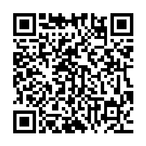 只不过平时炼丹所用的炭火改成了燕小霞用符法召唤的三色火焰二维码生成