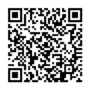 只不过当时伊卡丽娜是直接将一堆羊皮卷交给马文的二维码生成