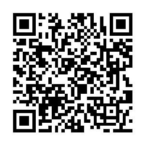 只不过是因为他一生也没抬过一个像蓉妃那样的宠妃二维码生成