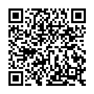 只不过是因为古风寨那里让我有一种无法掌控自己性命的感觉二维码生成