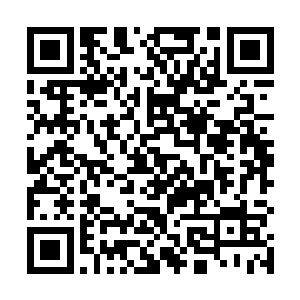 只不过虽然本子上大鬼皇那一格还填着别人的名字而已二维码生成
