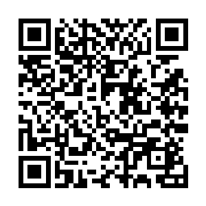只不过见不惯长的像你这幅尊荣居然还敢出来侮辱函月小姐二维码生成