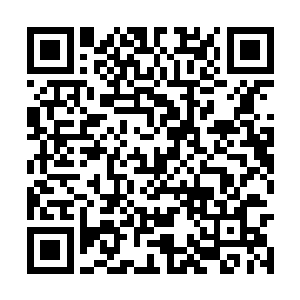 只不过这些天我和郑晓已经和晏兄弟磨合了下技艺二维码生成