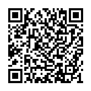 只不过这些黑雾十分诡异这其中肯定是危机重重二维码生成