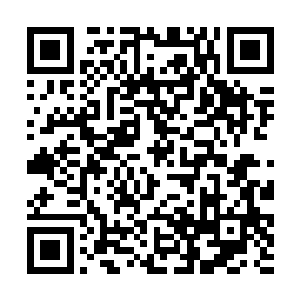 只不过这种报复比起小孩子打架来更加的恐怖和血腥二维码生成