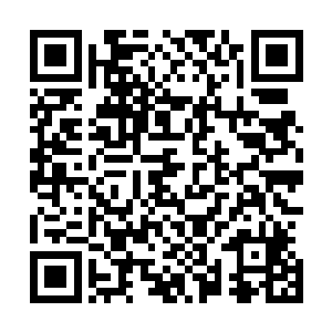 只为她曾经从暗影族的所在的黄泉天地偷来一株神级九品元二维码生成