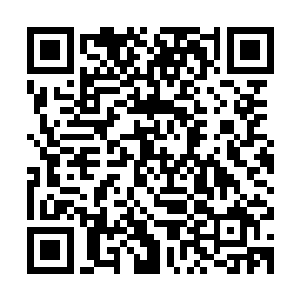 只余下一圈与本命妖丹融合后呈现的妖兽沙罗獭的金色妖气缭绕二维码生成
