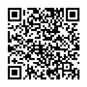 只凭着眼角的余光瞅到了锦黑绣着暗金龙纹的靴面二维码生成