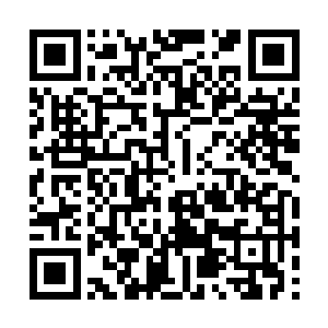 只剩下一些丧家之犬在星海中惶惶不可终日地逃亡二维码生成