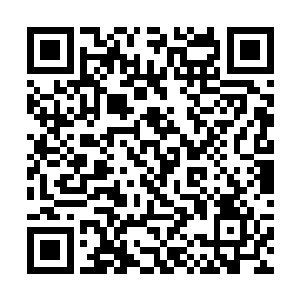只剩下了最难缠的几个宗师级后期高手还活蹦乱跳的二维码生成