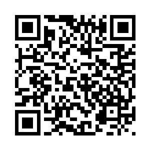 只剩下刚刚被李耀忽略的一个选项二维码生成