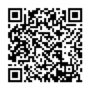 只剩下大拇指大小的一团精神力漂浮在韩风面前二维码生成