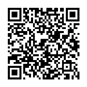 只剩下最后一点的神之本源护住心口和头颅的最重要的部位二维码生成