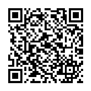 只剩下梦境控制局的一些冥修师和精神科专家还驻扎在这里二维码生成