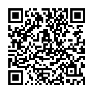 只剩下顾家人以及叶夫人和叶晟唯留守重症监护室外二维码生成