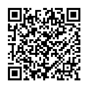 只叮嘱自己的专属治疗神侍等会儿去帮两人止血二维码生成