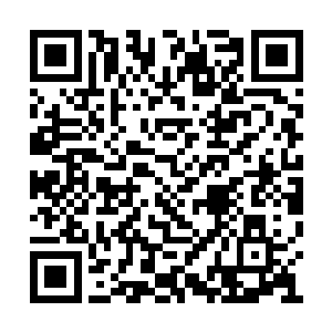 只可怜我们的欢喜哥一个人在厨房里忙这忙那的二维码生成