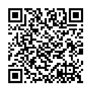 只可怜自己水货仙王在地仙前辈面前毫无话语权二维码生成