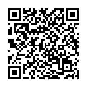 只可惜她此时不会说话――开口一声喵的话又没了气势二维码生成