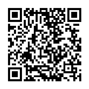 只听得那些拿着枪的警察使劲在用本国语言高喊警告二维码生成