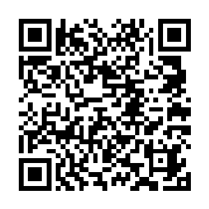 只听说那县丞正押着公子和王力建正一路往温桥府而来二维码生成