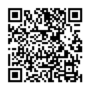 只因为汝南王府的人不愿意她太早的接触那些腌臜的东西二维码生成