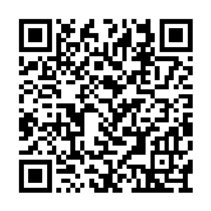 只因血球表面的那张面孔上忽然浮现出错愕之色二维码生成