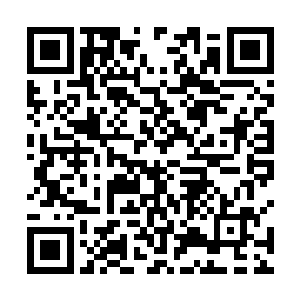 只因这星域之中不可能有人逃过自己血海幡的囚禁腐化二维码生成