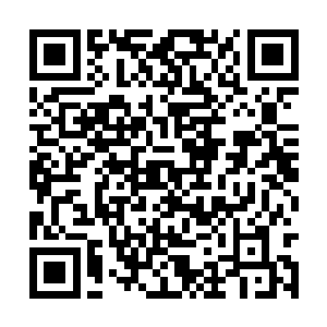 只因这肥嘟嘟的小女孩睡觉的样子实在太讨人喜了二维码生成