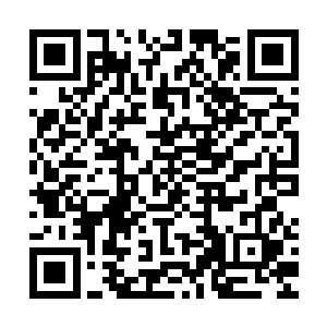 只在那血雾外能影影绰绰看到内部不停蠕动的巨大身影越来越小二维码生成