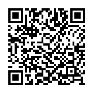 只好听晏妈妈的话乖乖地躺在床上一动也不动了二维码生成