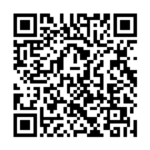 只安安静静地看着沉鱼在端木青掀开轿帘之后腰弯上轿二维码生成