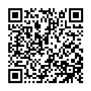 只希望我擦拭鼻涕的照片不要成为大家调侃的对象二维码生成